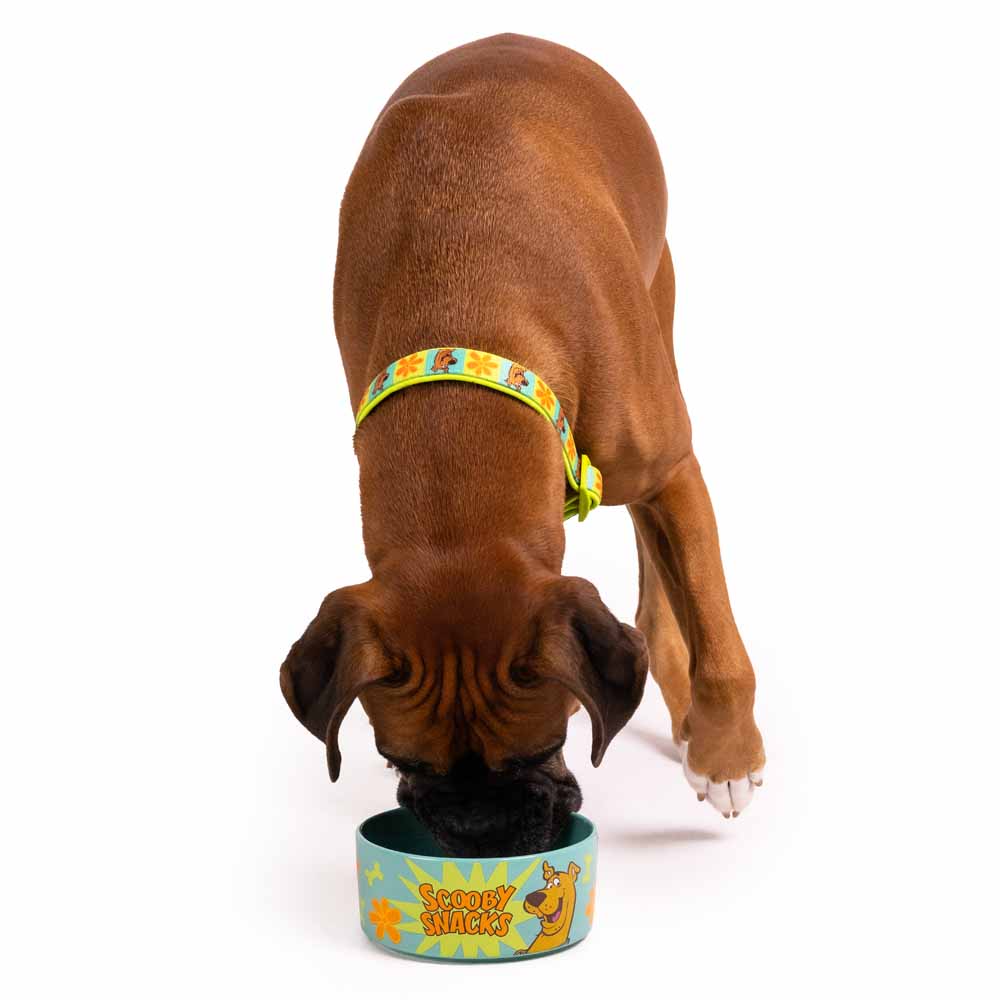 Scooby Doo - Scooby Snacks Ceramic Pet Bowl - Packshot 3