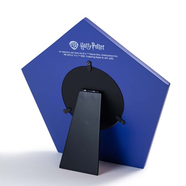 Harry Potter - Chocolate Frogs Photo Frame - Packshot 2