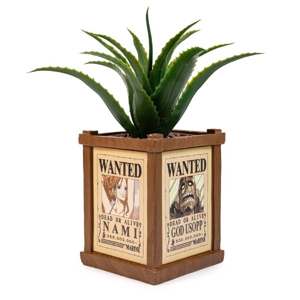 One Piece - Wanted Posters Plant & Planter - Packshot 3