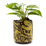 Jurassic Park - Fossils Planter Pot with Plant - Packshot 1