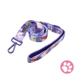 Harry Potter - Hogwarts Icons Pet Lead
