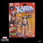 Marvel - X-Men - Wolverine (Weapon X) Marvel Legends Action Figure - Packshot 6