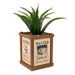 One Piece - Wanted Posters Plant & Planter - Packshot 2