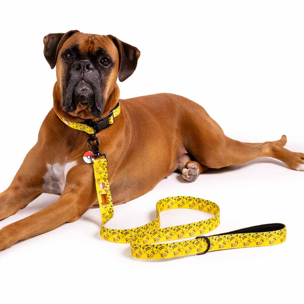 Pokemon - Pikachu All-Over-Print Pet Lead - Packshot 3