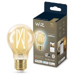 WiZ A60 E27 7W Smart Filament Globe Gen2 - Packshot 1