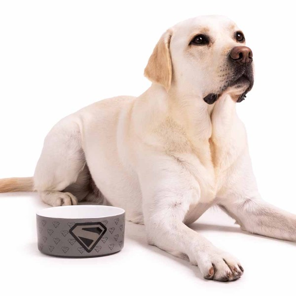 DC Comics - Superman - Monochrome Ceramic Pet Bowl - Packshot 4