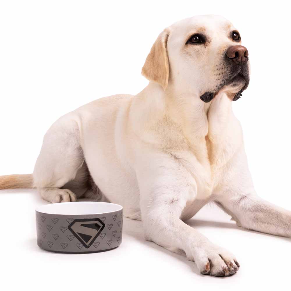 DC Comics - Superman - Monochrome Ceramic Pet Bowl - Packshot 4