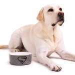 DC Comics - Superman - Monochrome Ceramic Pet Bowl - Packshot 4
