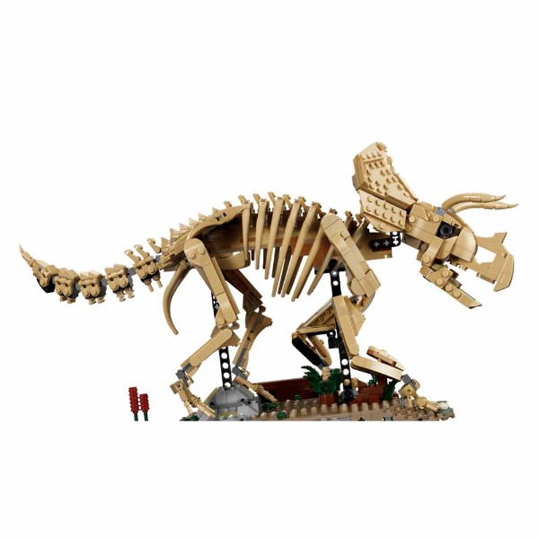 Jurassic Park – LEGO Dinosaur Fossils: Triceratops #77985 - Packshot 2