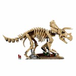 Jurassic Park – LEGO Dinosaur Fossils: Triceratops #77985 - Packshot 2