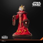 Star Wars - The Black Series - Queen Amidala Action Figure - Packshot 5