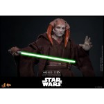 Star Wars - Saesee Tiin 1/6 Scale Action Figure - Packshot 3