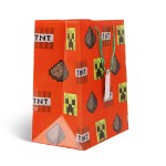 Minecraft - Creeper Gift Bag - Packshot 2