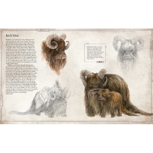 Star Wars - Bestiary Volume 1 - Books & Comics - ZiNG Pop Culture