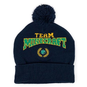Minecraft - Team Minecraft Beanie