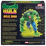 Marvel - Hulk - Hulk 2099 Marvel Legends Action Figure - Packshot 5