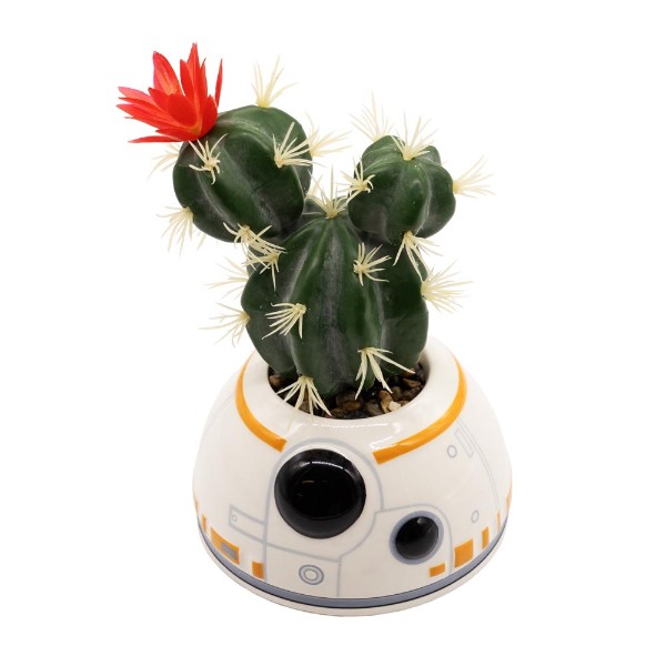 Star Wars - BB8 Plant & Planter - Packshot 1