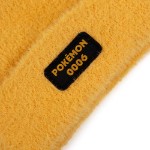 Pokemon - Charizard Beanie - Packshot 2