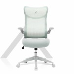 TT AIRFLEX V2 Ergochair - Minty Green - Packshot 2