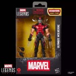 Marvel - Ultimate Wolverine Marvel Legends Action Figure - Packshot 6