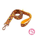 Disney - The Lion King - Simba Pokemon - Charizard All-Over-Print Pet Lead