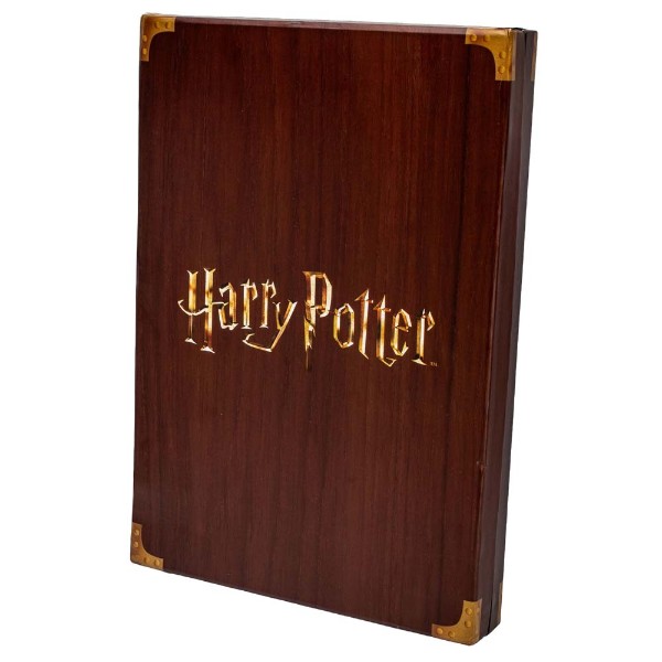 Harry Potter - Cursed Necklace Replica - Packshot 6