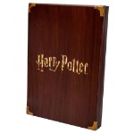 Harry Potter - Cursed Necklace Replica - Packshot 6