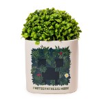 Minecraft - Creeper Photosynthesis Mode Planter - Packshot 1