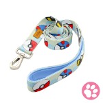 Pokemon - Pokeball Pet Lead