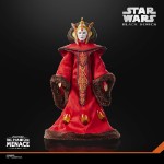 Star Wars - The Black Series - Queen Amidala Action Figure - Packshot 6