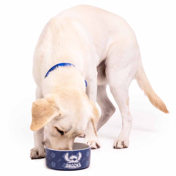 Disney - Lilo & Stitch - Stitch Hibiscus Ceramic Pet Bowl - Packshot 3