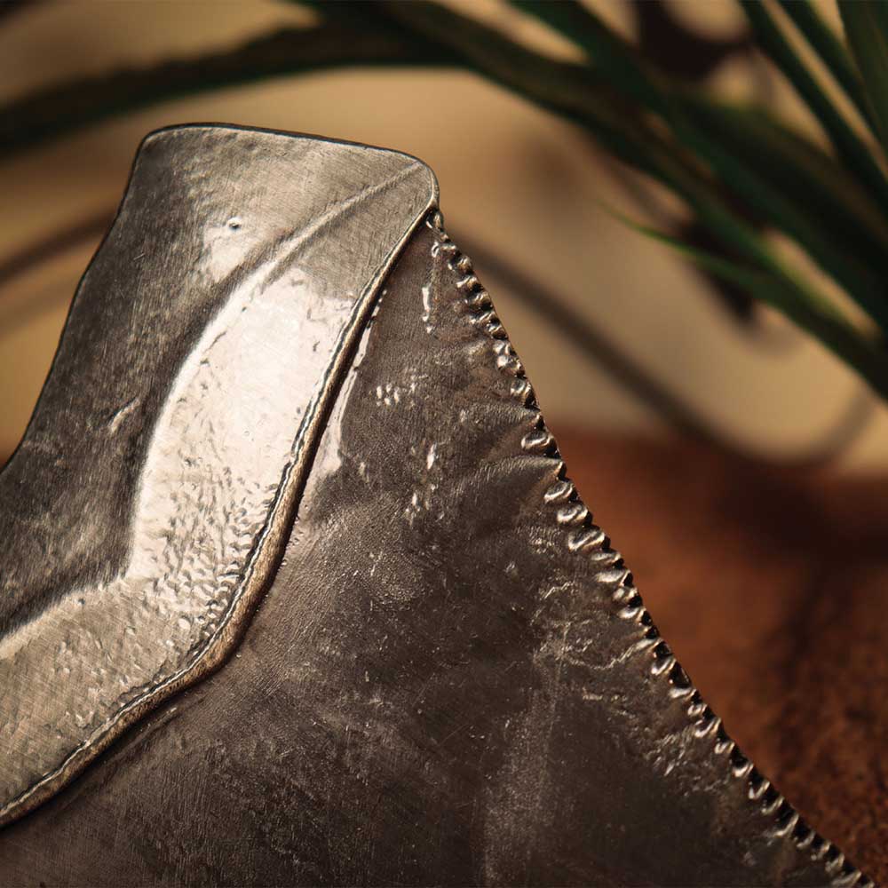 Jaws (50th Anniversary) - Shark Tooth Replica - Packshot 5