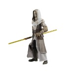 Star Wars - The Clone Wars - The Black Series Jedi Temple Guard Action Figure - Packshot 2