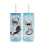 Avatar: The Last Airbender - Appa & Momo Glass Cup with Straw Twin Pack - Packshot 1