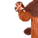Wizard of Oz - The Cowardly Lion Costume - Kids - Packshot 3