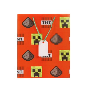 Minecraft - Creeper Gift Bag