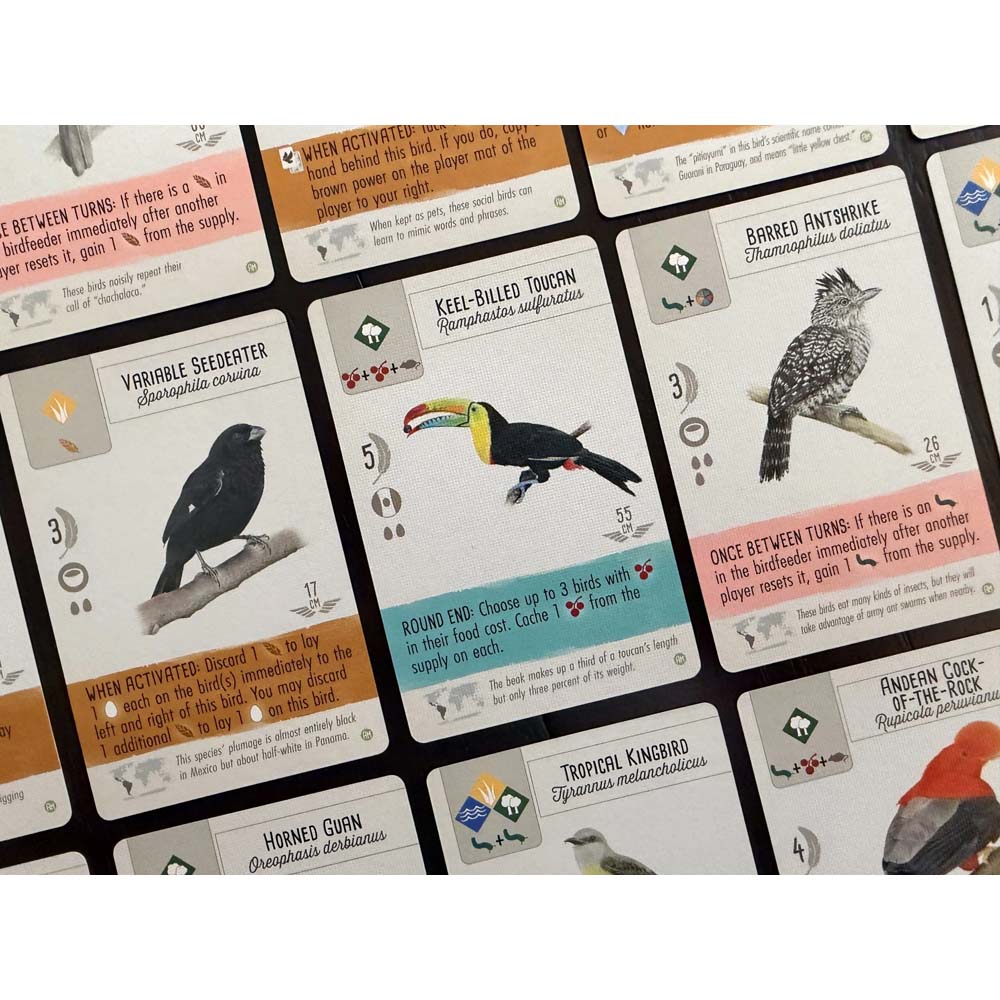 Wingspan Americas Expansion Board Game - Packshot 3