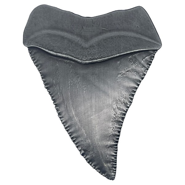 Jaws (50th Anniversary) - Shark Tooth Replica - Packshot 1