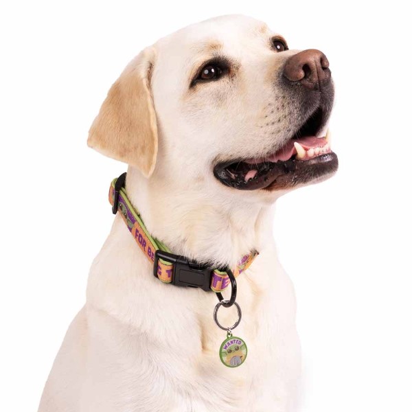 Star Wars - The Mandalorian - Grogu Wanted Pet Collar - Packshot 2