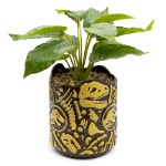 Jurassic Park - Fossils Planter Pot with Plant - Packshot 2
