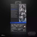 The Mandalorian - The Black Series - Imperial Remnant AT-AT Driver Action Figure - Packshot 5