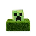 Minecraft - Creeper In the Grass - Packshot 1
