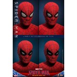 Marvel - Spider-Man - Spider-Man Deluxe Special Edition 1/6 Scale Action Figure - Packshot 4