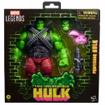 Marvel – Hulk - Professor Hulk Marvel Legends Deluxe Action Figure - Packshot 2