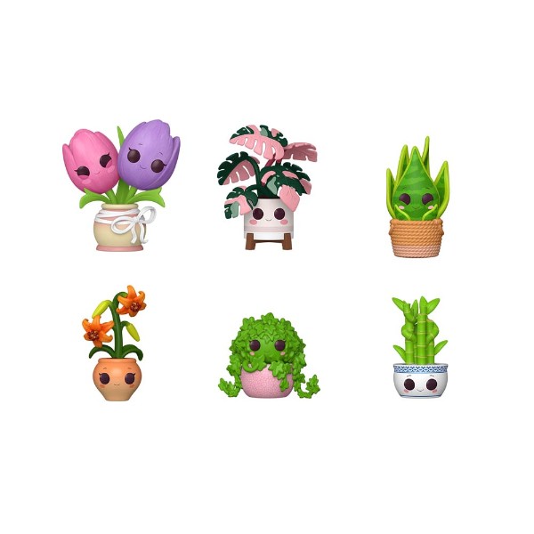 Pop! Mystery Flora Blind Box (Single Box) - Packshot 2