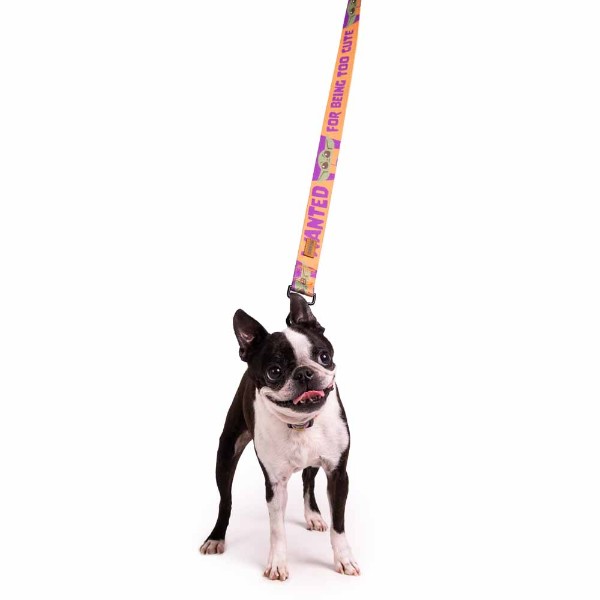 Star Wars - The Mandalorian - Grogu Wanted Pet Lead - Packshot 5