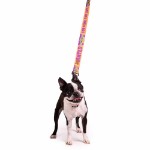 Star Wars - The Mandalorian - Grogu Wanted Pet Lead - Packshot 5