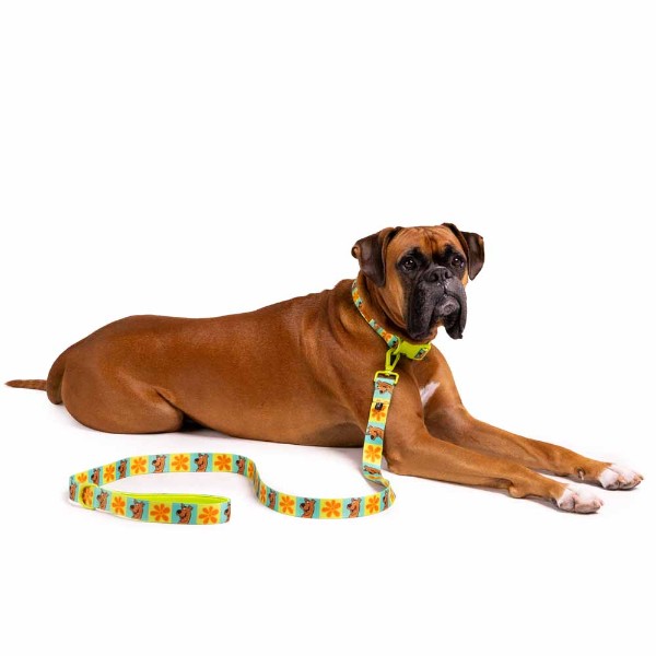 Scooby Doo - Classic Scooby Pet Lead - Packshot 2