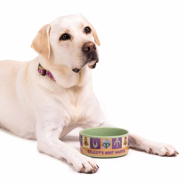 Star Wars - The Mandalorian - Galaxy's Most Wanted Ceramic Pet Bowl - Packshot 3