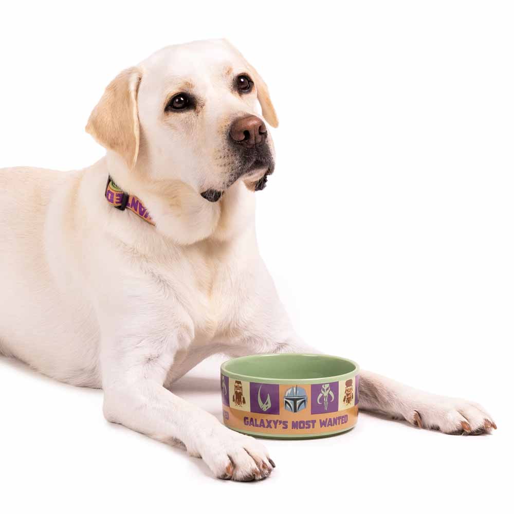 Star Wars - The Mandalorian - Galaxy's Most Wanted Ceramic Pet Bowl - Packshot 3